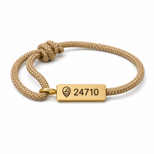 Compass Bracelet - Gold/Tan